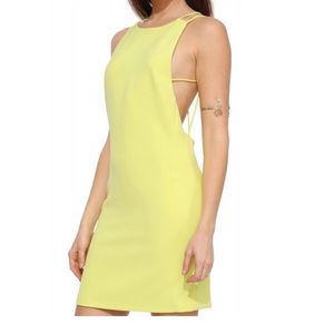 Endless Rose Open Back Dress